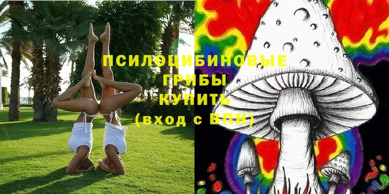 Псилоцибиновые грибы Magic Shrooms  Аткарск 